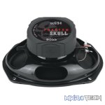 Boss Audio Phantom Skull 700 Watts 6 X 9 4-Way Speaker