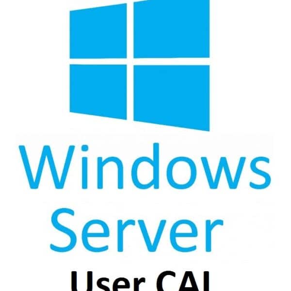 Microsoft DSP Windows Server 2019 CAL - 5 users