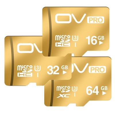 SD (Secure Digital) Memory Cards