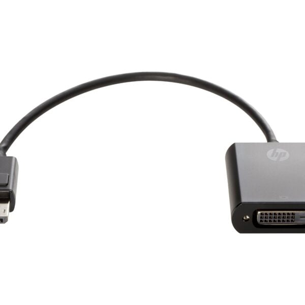 HP Accessories - DisplayPort To DVI-D Adapter
