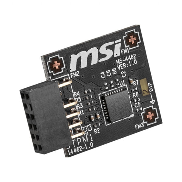 MSI TPM2.0 4462