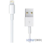 Amplify Lightning Cable