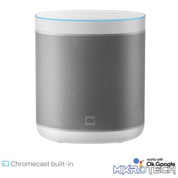 Xiaomi Smart Speaker