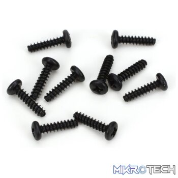 3x12mm Self-Tapping BH Screw (10)
