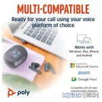 POLY VOYAGER FREE 60 BT HC USB-C BT700D NC BLACK - Image 7