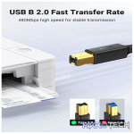 UGreen 10351 USB-A 2.0 Male to USB-B 2.0 Male 3m Printer Cable With Gold-Plated Connectors & Supports Data Transfer Speed up to 480Mbps - Black Colour. - Image 3