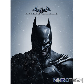 Batman Arkham Origins PC GOG CD Key