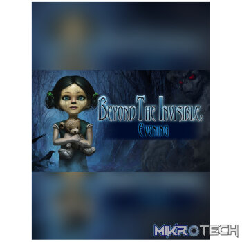 Beyond the Invisible: Evening Steam CD Key