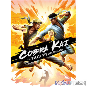 Cobra Kai: The Karate Kid Saga Continues Steam CD Key
