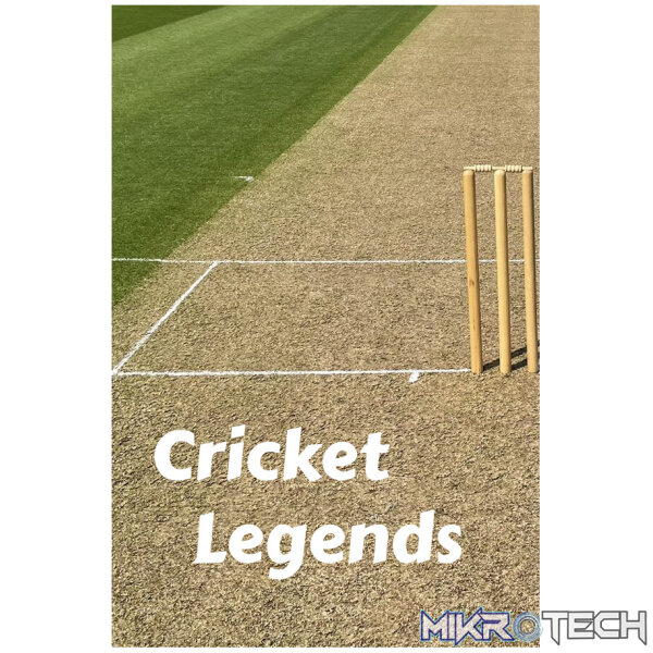 Cricket Legends PC Steam CD Key Cricket Legends PC Steam CD Key