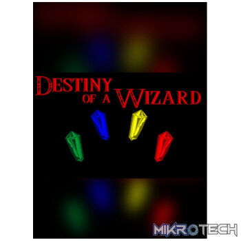Destiny of a Wizard Steam CD Key