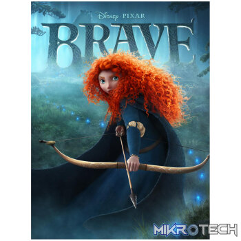 Disney•Pixar Brave: The Video Game Steam CD Key