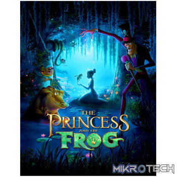 Disney The Princess and the Frog Steam CD Key