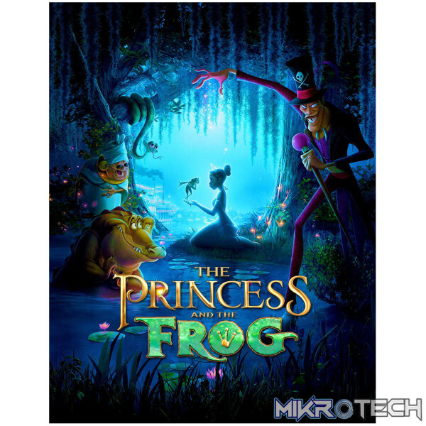 Disney The Princess and the Frog Steam CD Key Disney The Princess and the Frog Steam CD Key