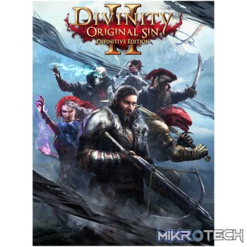Divinity: Original Sin 2 Definitive Edition GOG CD Key