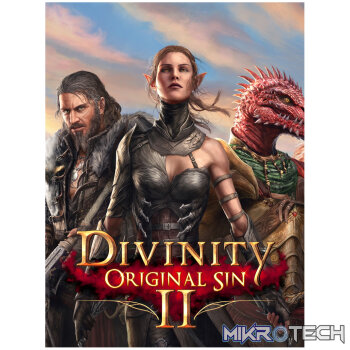 Divinity: Original Sin 2 - Divine Edition GOG CD Key