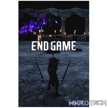 Endgame PC Steam CD Key