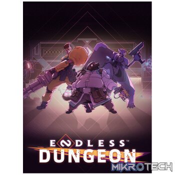 ENDLESS Dungeon Last Wish Edition Steam CD Key