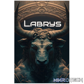 Labrys Steam CD Key