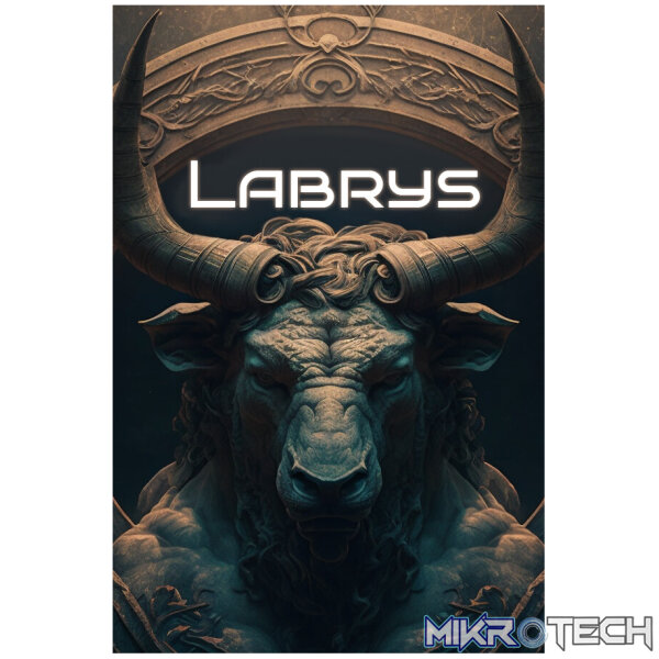 Labrys Steam CD Key Labrys Steam CD Key