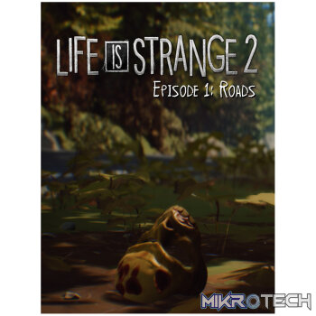Life is Strange 2 - Episode 1 Steam CD Key