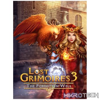 Lost Grimoires 3: The Forgotten Well PC Steam CD Key