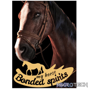 My Horse: Bonded Spirits PC Steam CD Key