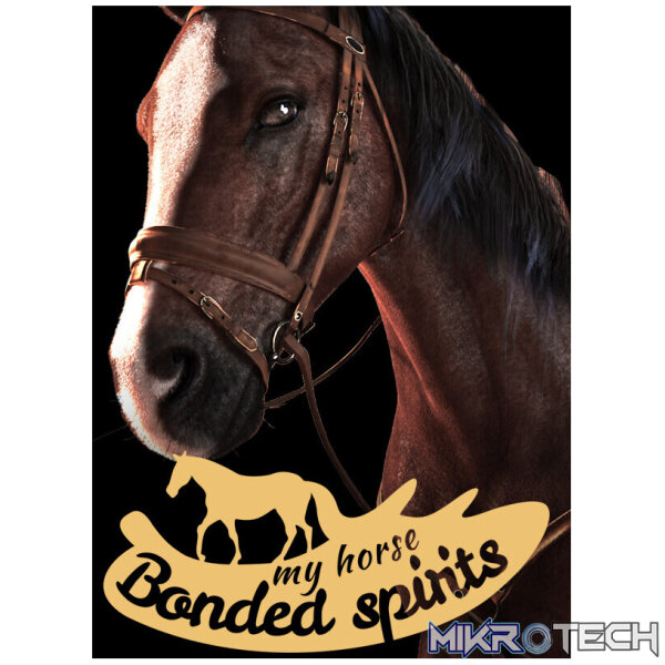 My Horse: Bonded Spirits PC Steam CD Key My Horse: Bonded Spirits PC Steam CD Key