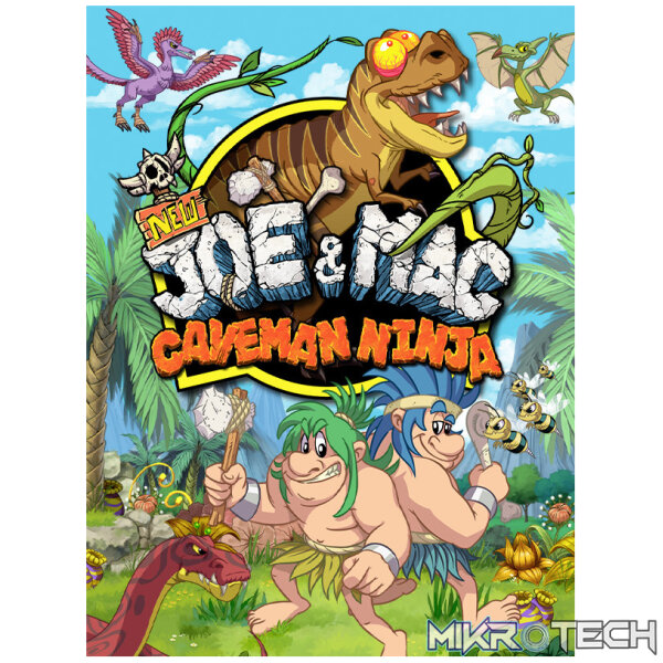 New Joe & Mac - Caveman Ninja Steam CD Key New Joe & Mac - Caveman Ninja Steam CD Key