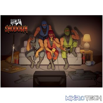 Ninja Shodown Steam CD Key
