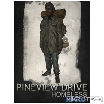 Pineview Drive - Homeless Steam CD Key