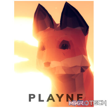 PLAYNE : The Meditation Game Steam CD Key