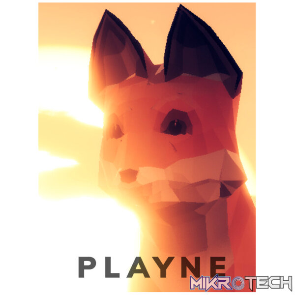 PLAYNE : The Meditation Game Steam CD Key PLAYNE : The Meditation Game Steam CD Key