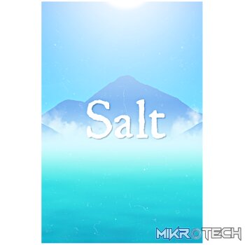 Salt Steam CD Key