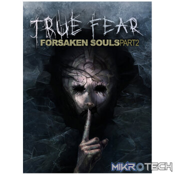 True Fear: Forsaken Souls Part 2 Steam CD Key