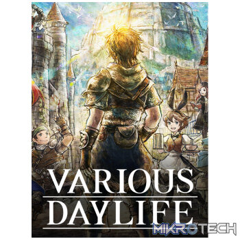 VARIOUS DAYLIFE PC Steam CD Key