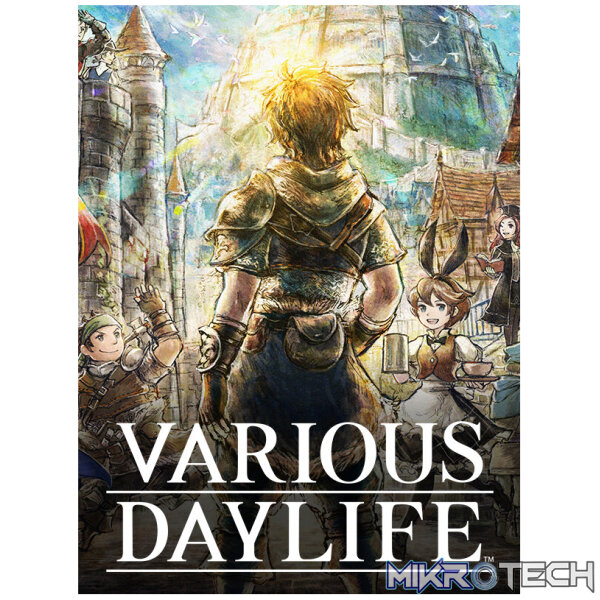 VARIOUS DAYLIFE PC Steam CD Key VARIOUS DAYLIFE PC Steam CD Key