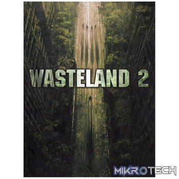 Wasteland 2 + Wasteland 2 Director's Cut Steam CD Key