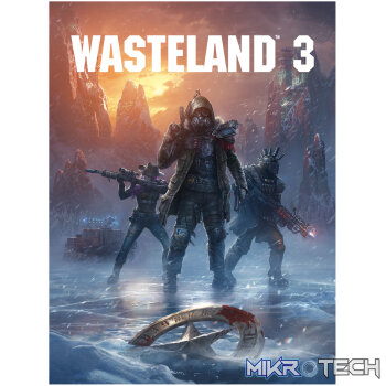 Wasteland 3 EN Language Only Steam CD Key