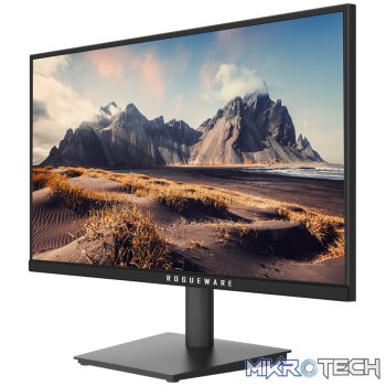 ROGUEWARE W2213SG 21.5" 100HZ FREESYNC FULL HD 1080P MONITOR