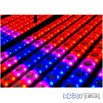 Beamz Lcb14 Led Bar Ip20 14X 3W Rgbww - Image 5