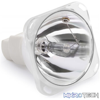 Beamz - Replacement Bulb