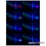 Beamz Panther35 Led Moving Head Spot 1X 35W - Image 9