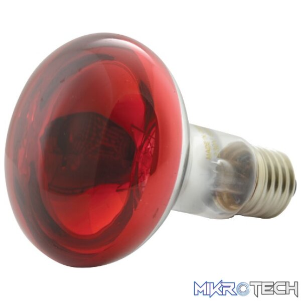 160002_1 Qtx - R80-R Coloured Reflector Lamps - Image 1