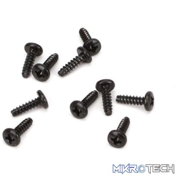 3x10mm Self-Tapping BH Screw (10)