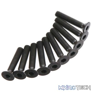 AR722316 Flat Head Screw 3x16mm (10)