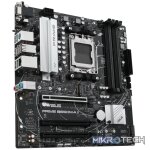 AMD