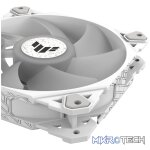 29 dB