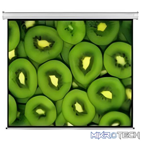 Electric Projector Screen 300 X 169 Electric Projector Screen 300 X 169