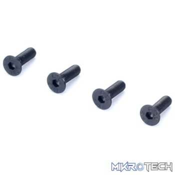 Flat Head Socket Screws 3x10mm